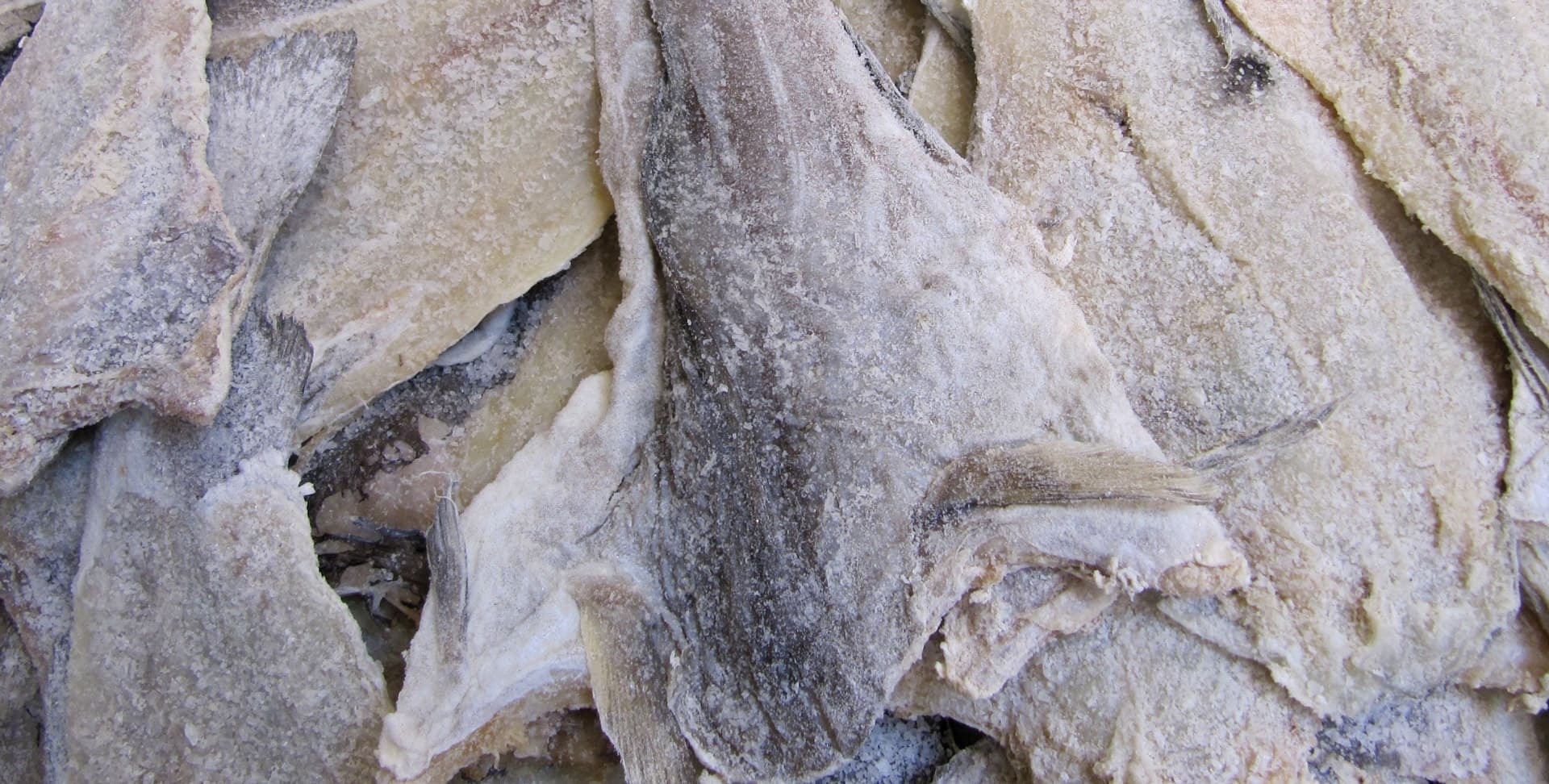 Bacalao fresco congelado