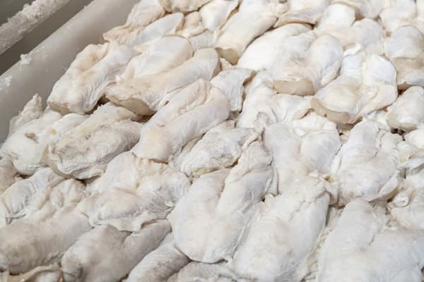 Proveedores de bacalao